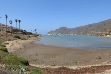 Sandee - Catalina Harbor