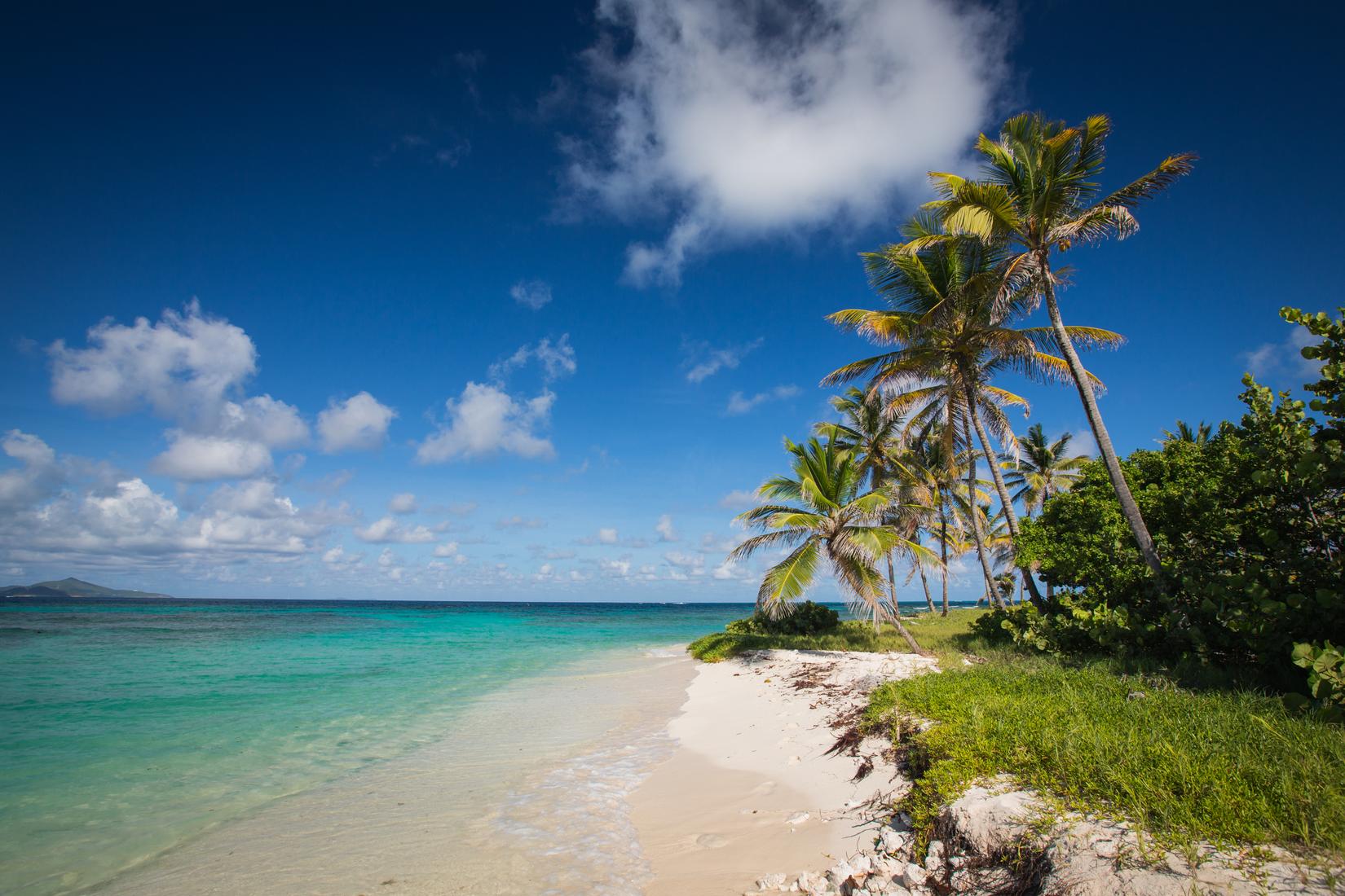 Sandee - Tobago Cays