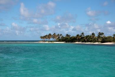 Sandee Tobago Cays Photo