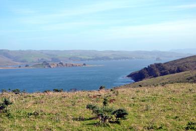 Sandee - Tomales Bay Trail