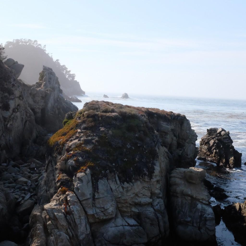 Sandee - Point Lobos State Natural Reserve - Hidden Beach
