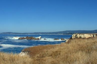 Sandee Point Lobos State Natural Reserve - Moss Cove Beach Photo