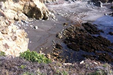 Sandee - Point Lobos State Natural Reserve - Moss Cove Beach
