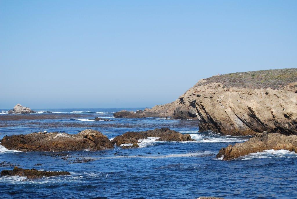 Sandee - Point Lobos State Natural Reserve - Headland Cove Beach