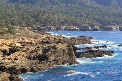 Sandee Point Lobos State Natural Reserve - Hidden Beach Photo