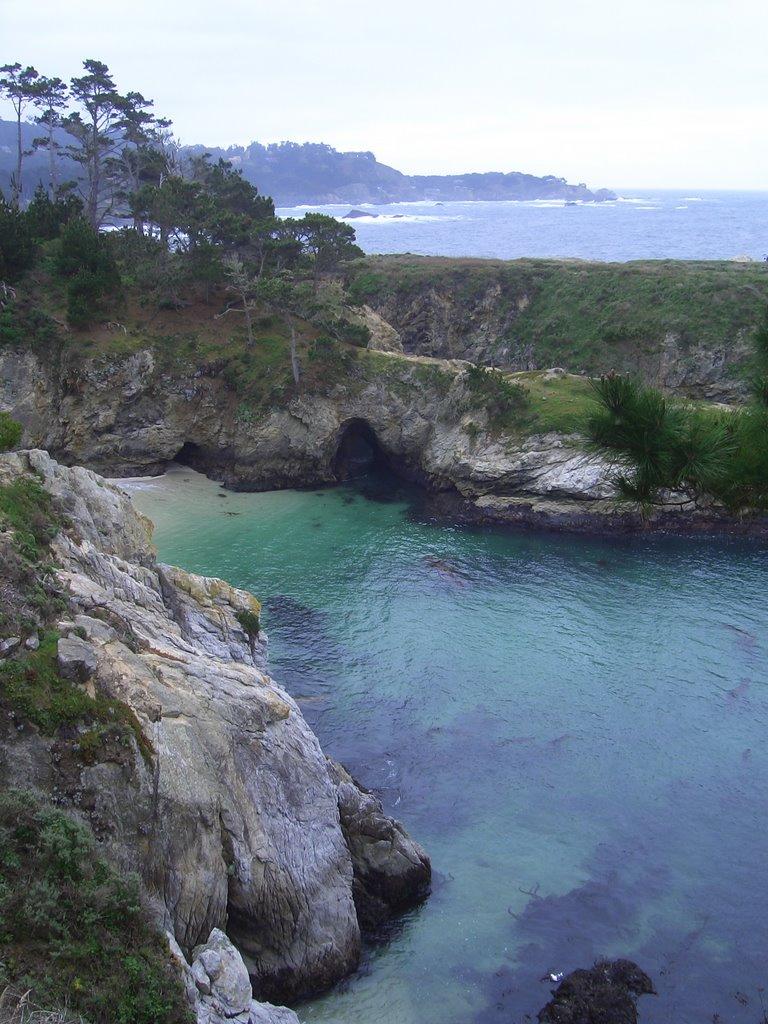 Sandee - Point Lobos State Natural Reserve - Headland Cove Beach