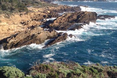 Sandee Point Lobos State Natural Reserve - Headland Cove Beach Photo