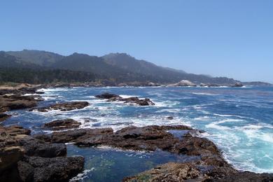 Sandee Point Lobos State Natural Reserve - Weston Beach Photo
