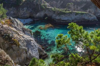 Sandee Point Lobos State Natural Reserve - China Cove Photo