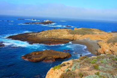Sandee Point Lobos State Natural Reserve - Whalers Cove Photo