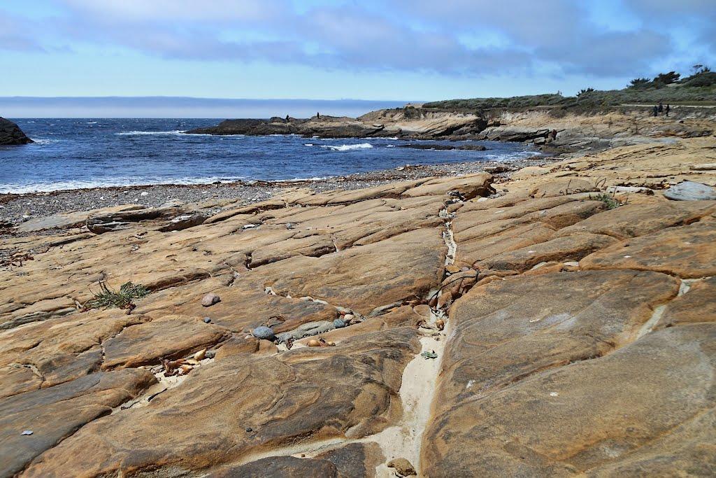 Sandee - Point Lobos State Natural Reserve - Weston Beach