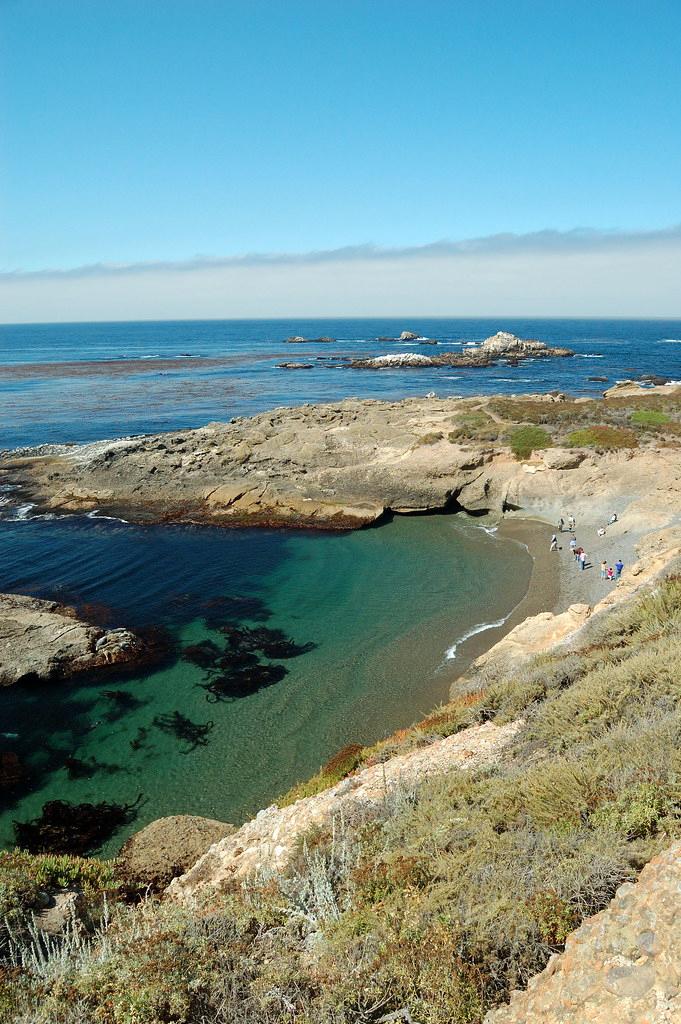 Sandee - Point Lobos State Natural Reserve - Sea Lion Cove