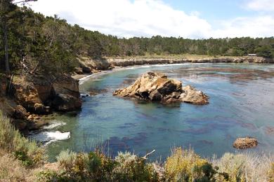 Sandee - Point Lobos State Natural Reserve - Whalers Cove