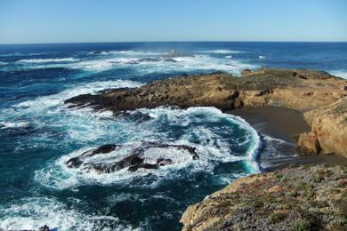 Sandee Point Lobos State Natural Reserve - Sea Lion Cove Photo