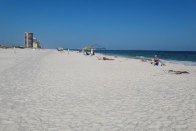 Sandee - Gulf Shores Public Beach