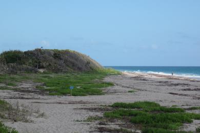 Sandee - John D. Macarthur Beach