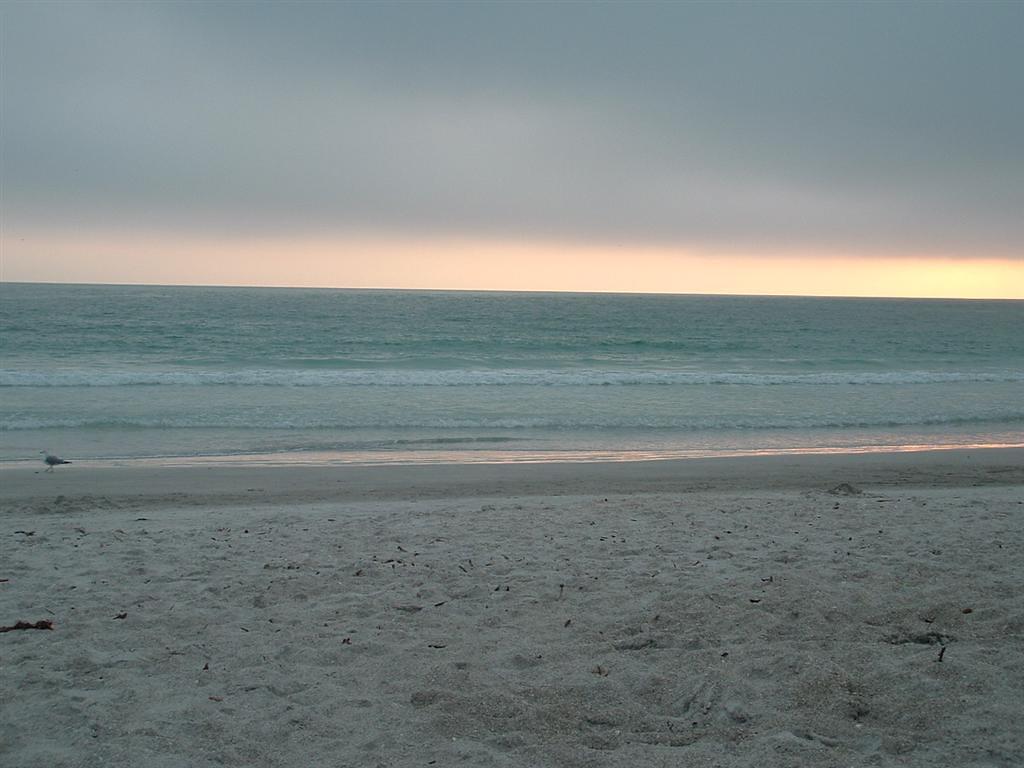 Sandee - Lido Beach