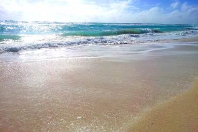 Sandee Playa Marlin Photo
