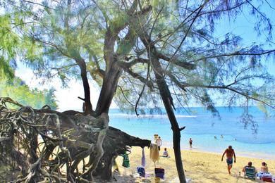 Sandee - Hanalei Beach