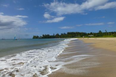Sandee Hanalei Beach Photo