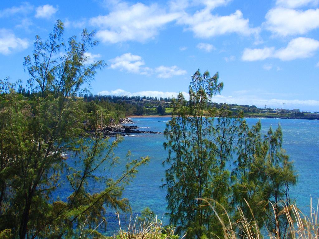 Sandee - Honolua Bay