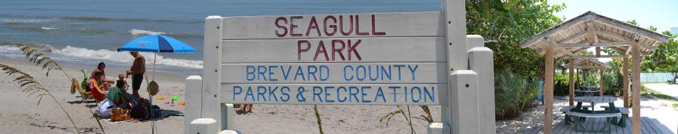 Sandee - Seagull Park