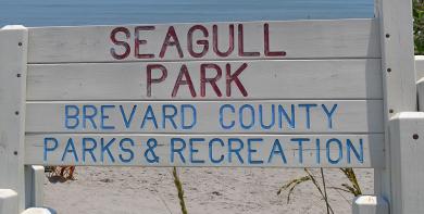 Sandee Seagull Park Photo