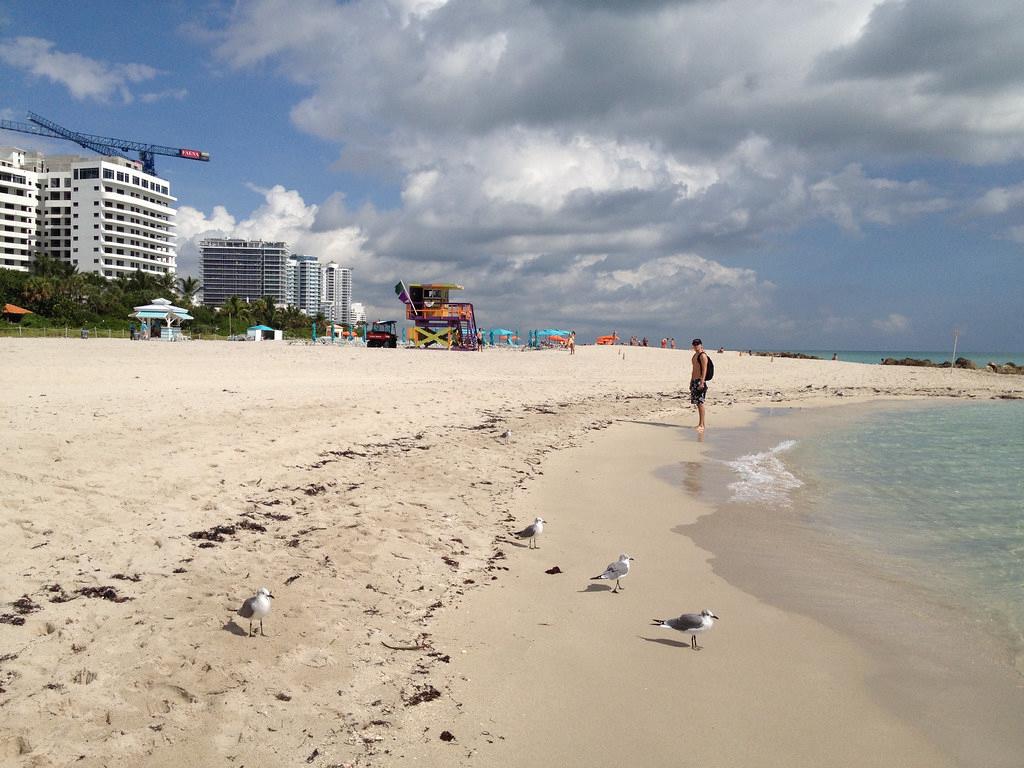 Sandee - Miami Beach - Mid-Beach