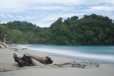 Sandee - Playa Manuel Antonio