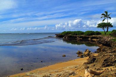 Sandee Kaiaka Bay Beach Park Photo