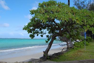 Sandee Kaluanui Beach Photo