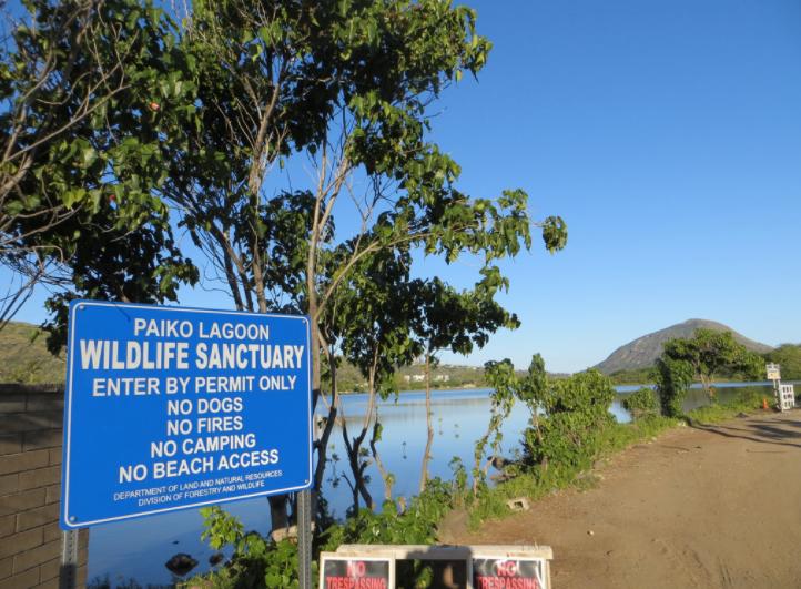 Sandee - Paiko Lagoon