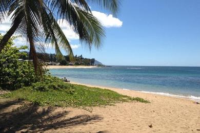 Sandee Haleiwa Alii Beach Park Photo