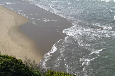 Sandee - Ocean Beach