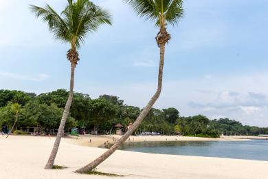 Sandee - Palawan Beach