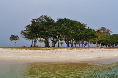 Sandee Pulau Ubin Photo