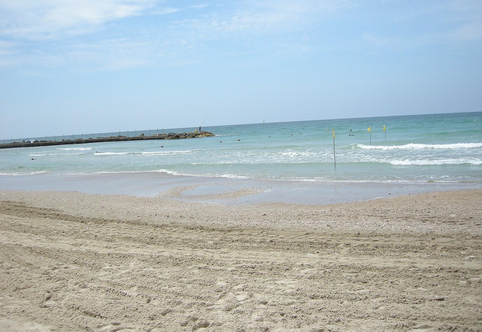 Sandee - Tel Baruch Beach