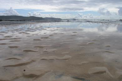 Sandee - Newcastle Beach