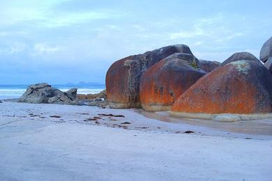 Sandee Red Rock Beach Photo