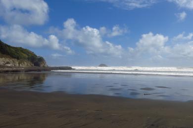 Sandee Muriwai Beach Photo