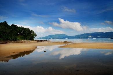 Sandee - Patong Beach