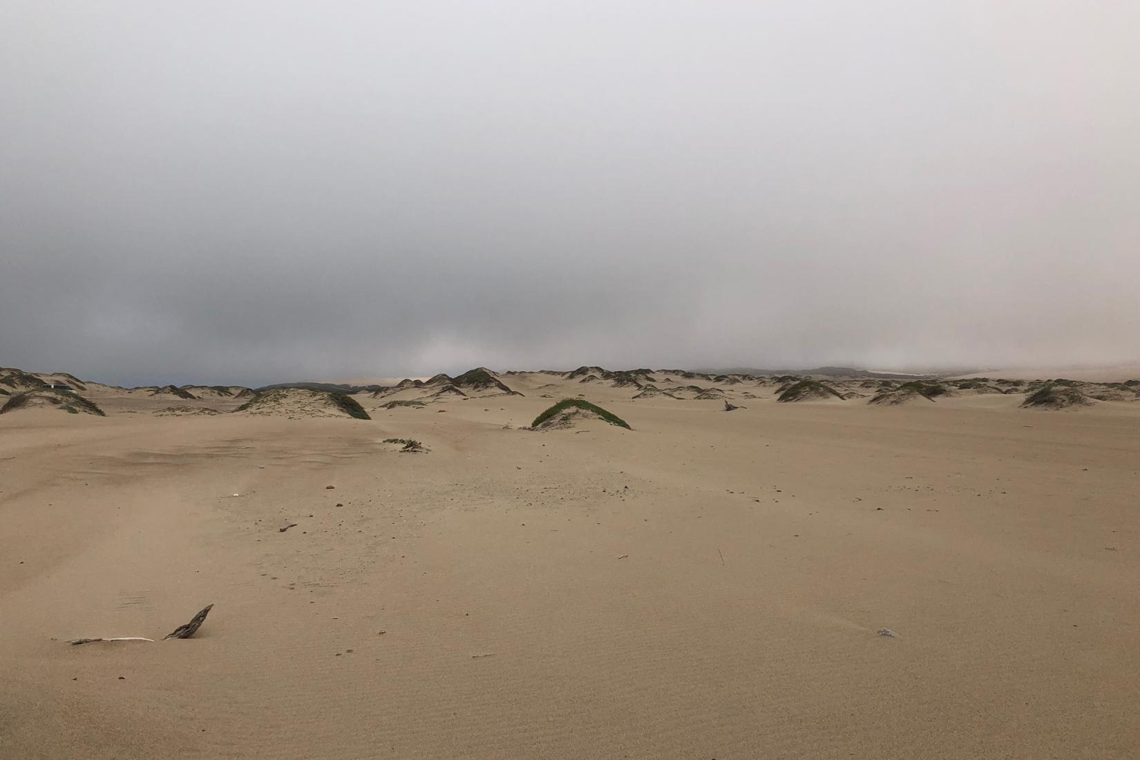 Sandee - Guadalupe-Nipomo Dunes