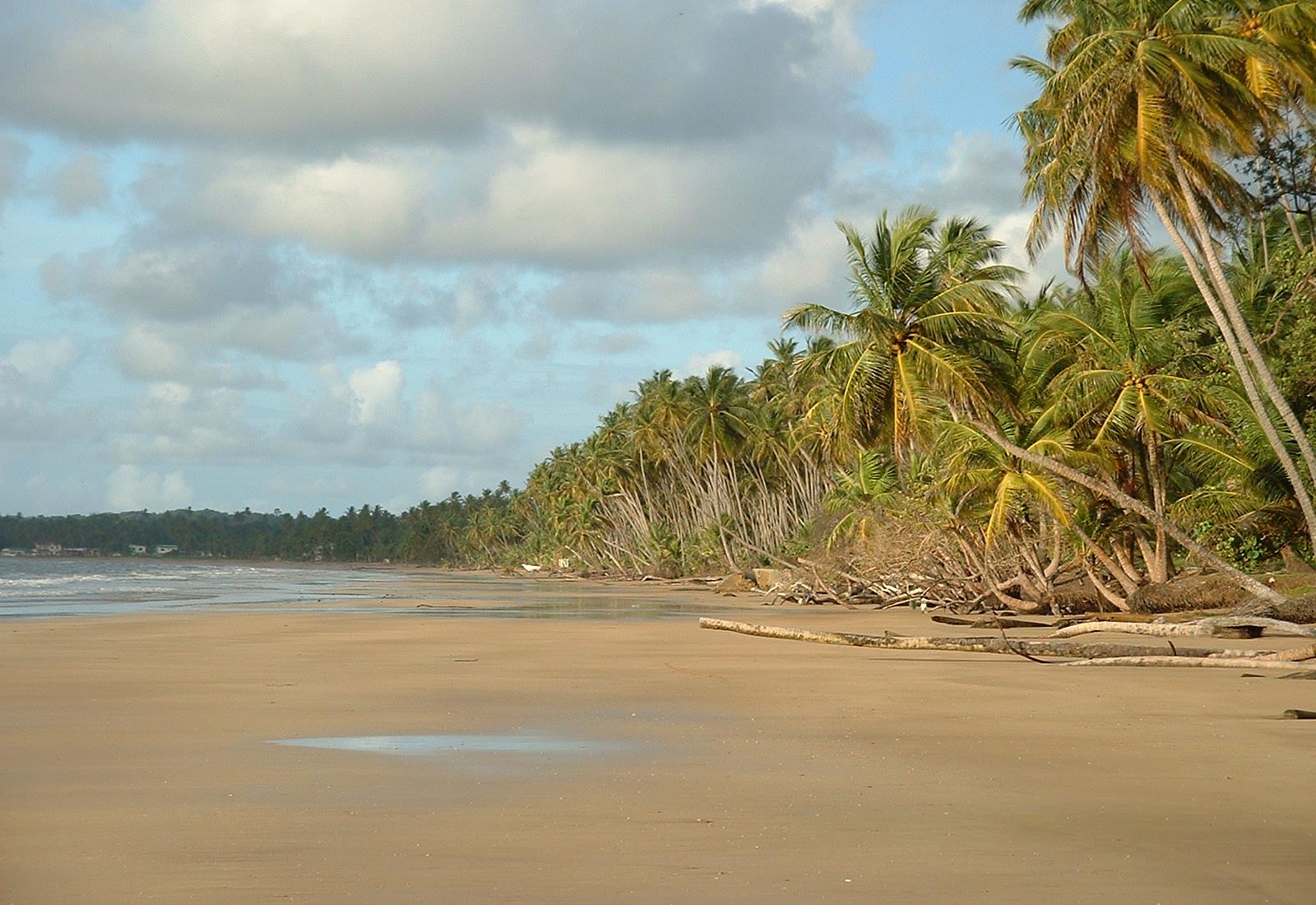 Sandee - Mayaro Bay