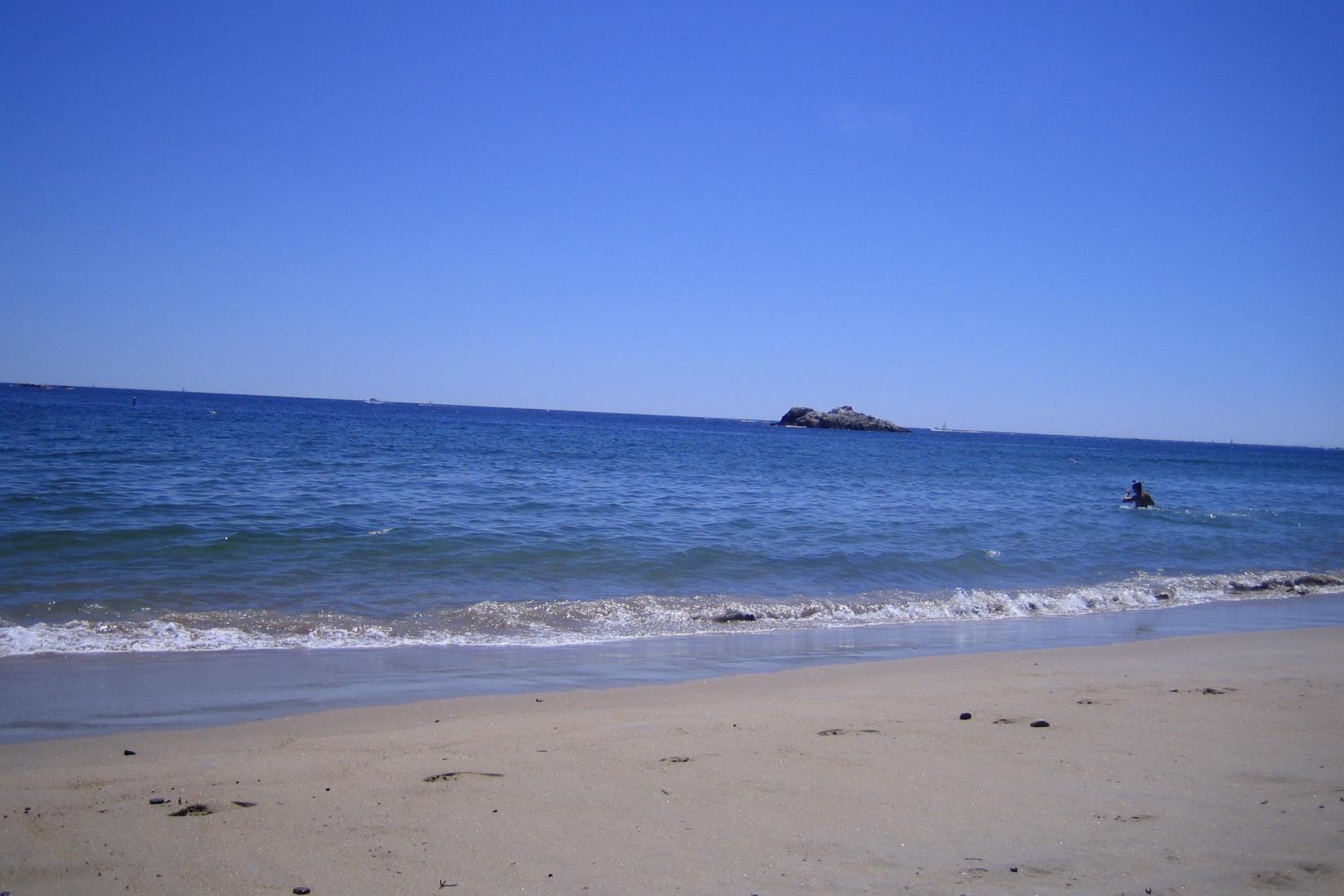 Sandee - Singing Beach