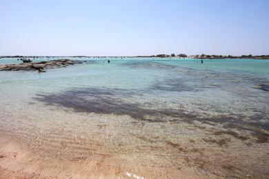 Sandee - Elafonissi Beach