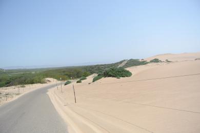 Sandee - Oceano Dunes State Recreational Area / Guadalupe Dunes