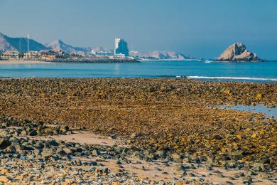 Sandee - Al Aqah Beach
