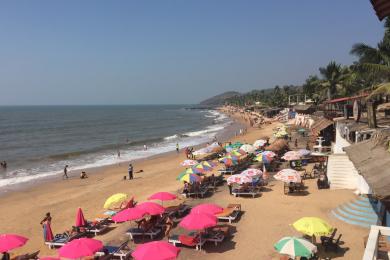 Sandee - Anjuna Beach