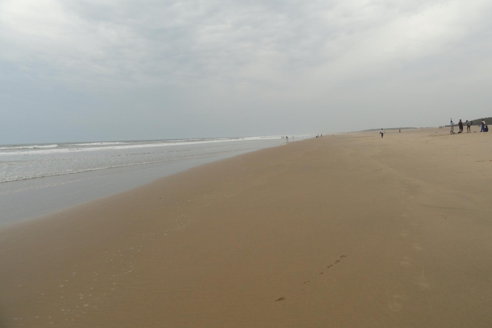 Sandee - Paradeep Beach