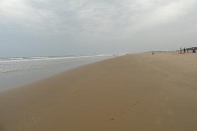 Sandee Paradeep Beach Photo
